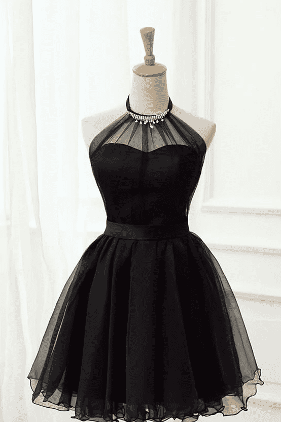 Sexy Tulle A-Line High Neck Sleeveless Homecoming Dress